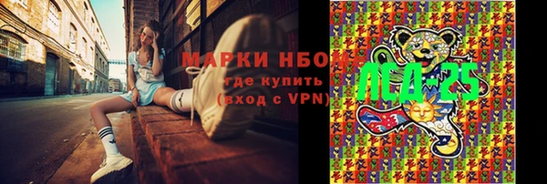 трава Аркадак