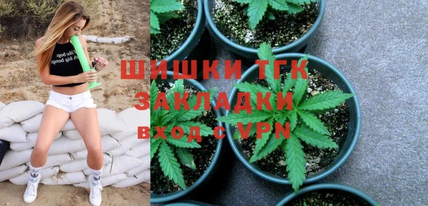 трава Аркадак